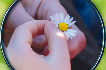 Gros plan d'une fleur que tient un enfant. - Agrandir l'image, fenêtre modale