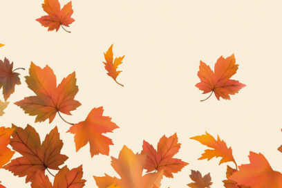 Illustration de feuilles d'automne sur fond beige. - Agrandir l'image, fenêtre modale