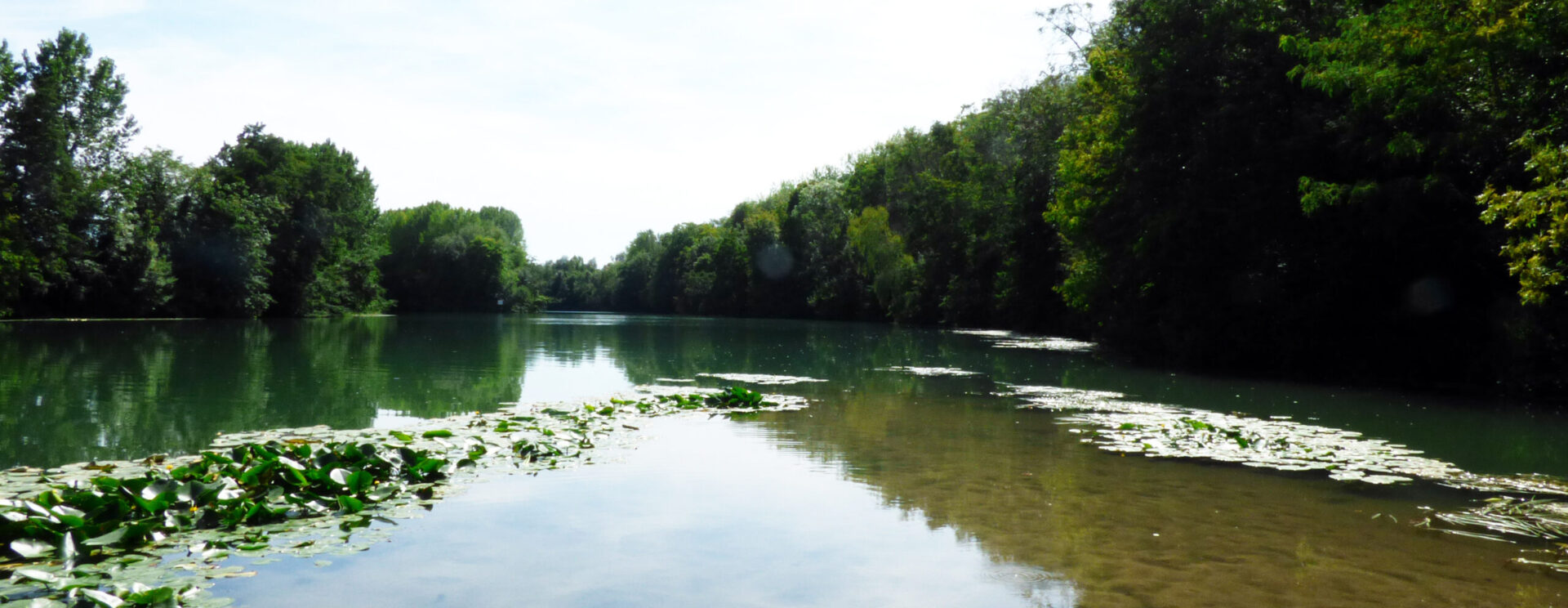 Prise de vue nature avec La Marne et la rivière Ourcq qui se rejoignent à Mary-sur-Marne