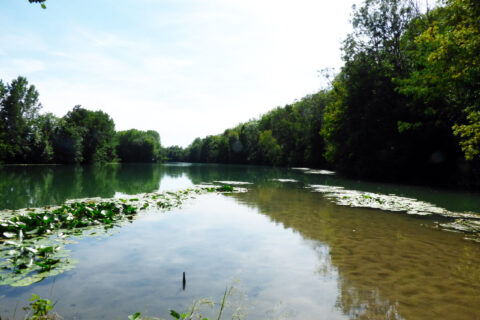 Prise de vue nature avec La Marne et la rivière Ourcq qui se rejoignent à Mary-sur-Marne