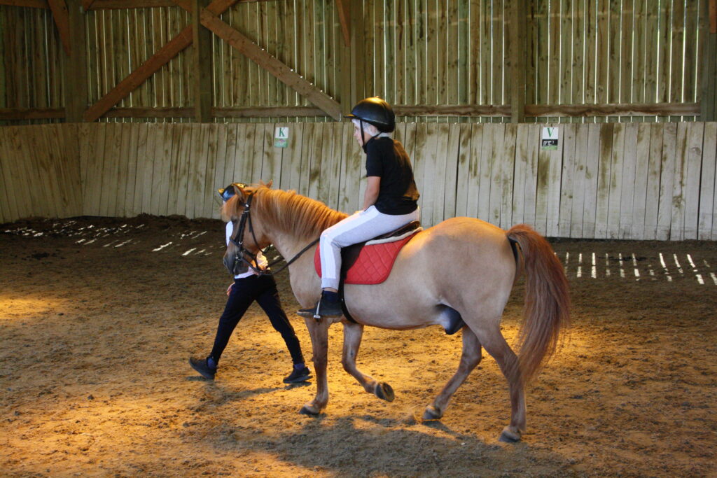un enfant sur un cheval dans un padoc - Agrandir l'image, fenêtre modale