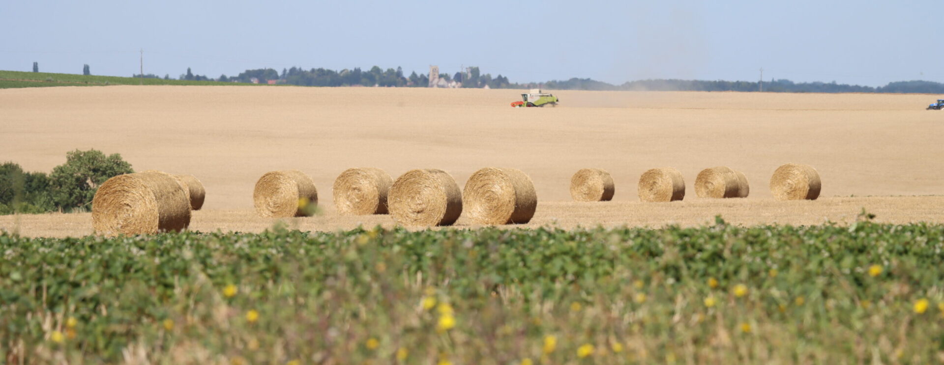 Champ avec ballot de paille et moissonneuse batteuse.