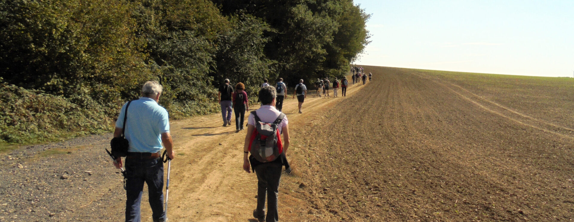 Groupe d'une vingtaine de randonneurs sur un chemin de terre à Étrépilly
