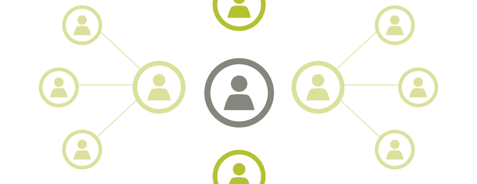 Organigramme des services