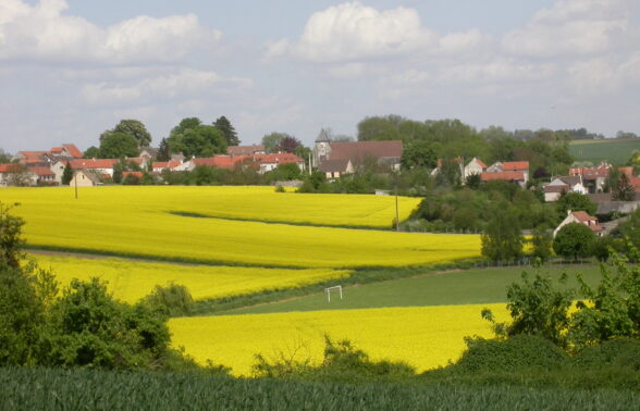 Paysage de champs vallonné et village de Puisieux