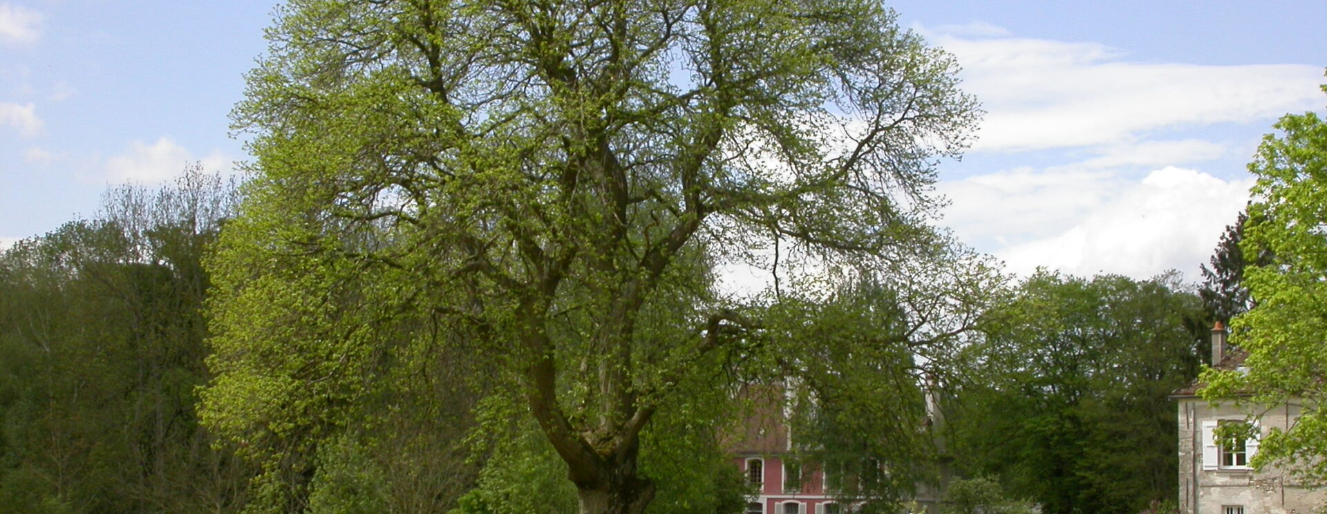 Paysage avec champs et habitation de Douy-la-Ramée