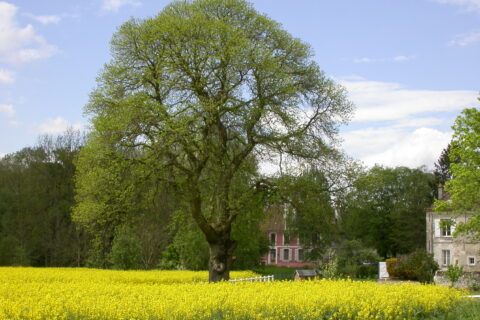 Paysage avec champs et habitation de Douy-la-Ramée