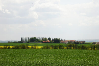 Agrandir l'image 3 sur 3, fenêtre modale