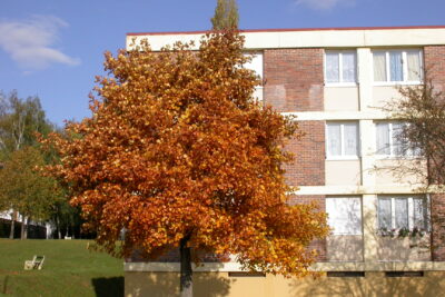 Agrandir l'image 5 sur 6, fenêtre modale