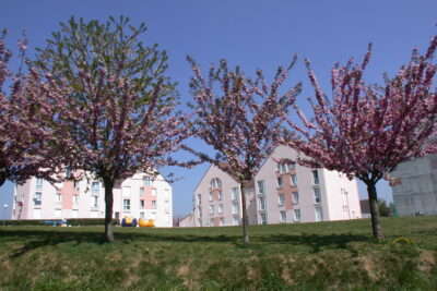 Agrandir l'image 6 sur 6, fenêtre modale