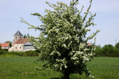 Agrandir l'image 2 sur 3, fenêtre modale