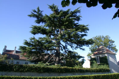 Agrandir l'image 6 sur 6, fenêtre modale
