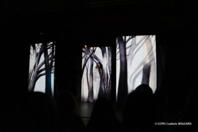 Blanche-neige dans la forêt au spectacle jeune public "Le Fabuleux voyage de Blanche-neige" de la Compagnie Mascarade à la salle des fêtes de Congis-sur-Thérouanne. - Agrandir l'image 14 sur 30, fenêtre modale