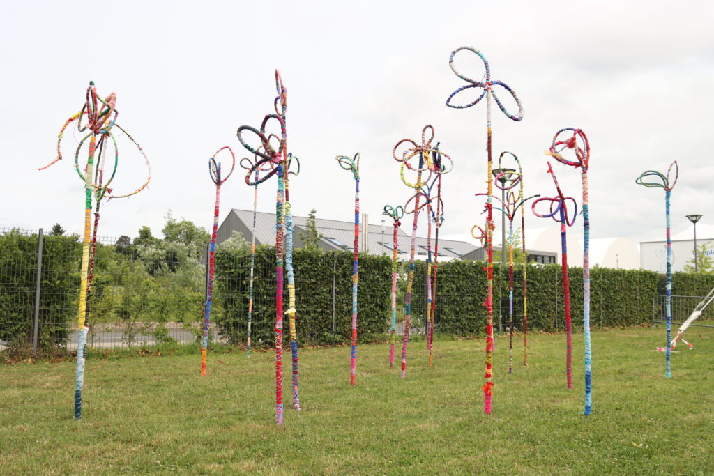 Agrandir l'image, fenêtre modale