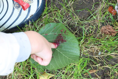 Doigt d'un enfant mettant de la peinture naturelle sur une feuille d'arbre.